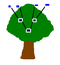 arbre de vie